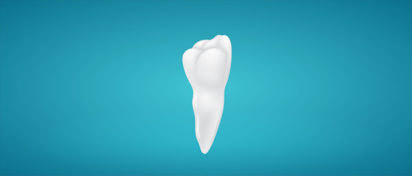 DÉGAGEMENT ORTHODONTIQUE D’UNE CANINE INCLUSE