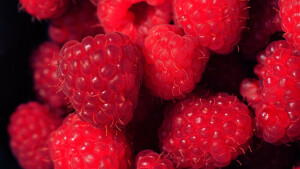 test add viideo